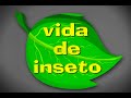 Vida De Inseto