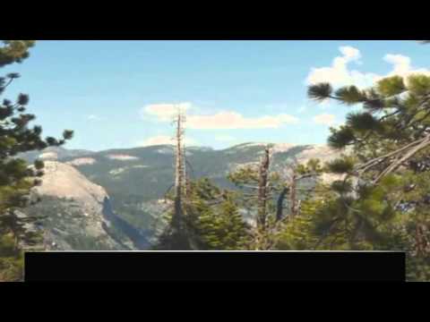 A mos ka hequr dorë Allahu nga ju?! - Përkujtues i fuqishëm - Nouman Ali Khan