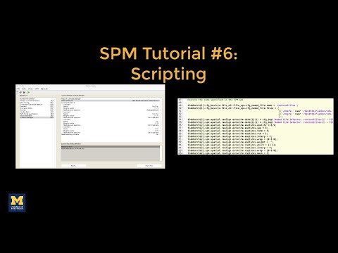 Spm Tutorial 6 Scripting