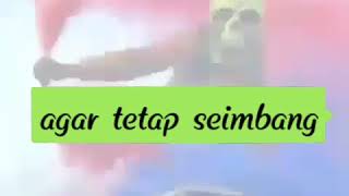 Download lagu Video smokebomb keren mp3 Download lagu Video smokebomb keren mp3