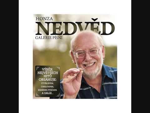 Honza Nedved   Valcicek