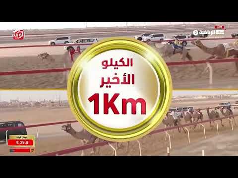 ش 8 (رعد) لـ نايل راشد بن سيف النايلي الشامسي 6:06:50 ، شارة الديوان 2026/9/13 إيذاع الوثبة
