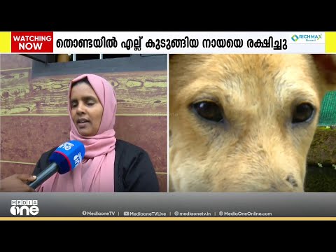 'നായിനെ തൊടാന്‍ പറ്റില്ലെന്ന കാര്യം ഞാന്‍ അപ്പോള്‍ നോക്കിയില്ല'