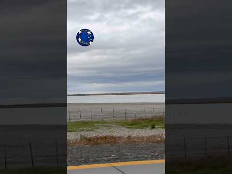 COMUNA DE LAGUNA BLANCA #chile #lagunablanca #patagonia #surdechile #magallanes #patagoniachilena