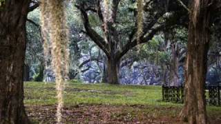 MAGNOLIA ~ JJ CALE  ~  (Lyrics)