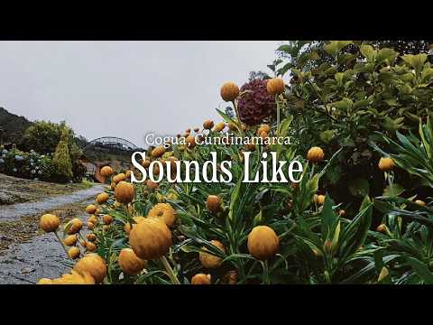 What Cogua, Cundinamarca Sounds Like 🇨🇴 | Relaxing Nature Sounds #naturesounds #relaxingnaturevideo 