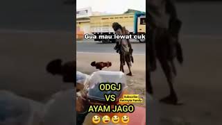 Download lagu ODGJ vs Ayam 😂 #shorts #lucu #lucuabis #lucungakak #odgj #viral mp3 Download lagu ODGJ vs Ayam 😂 #shorts #lucu #lucuabis #lucungakak #odgj #viral mp3