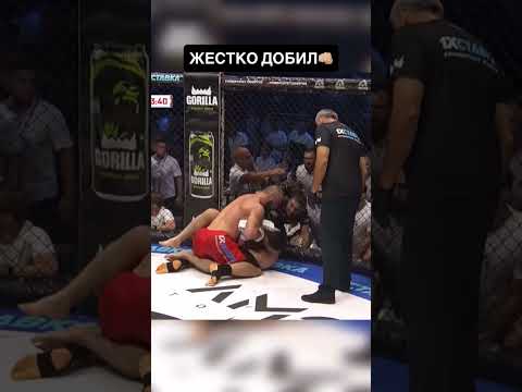 Дагестанец ПРОЯВИЛ МИЛОСЕРДИЕ ❤️ #shorts #mma