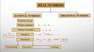 Introduction to Real Numbers & Fundamental theorem of Arithmetic. #CBSE class 10