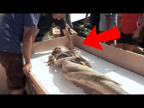 10 REAL LIFE MERMAIDS Caught On Camera