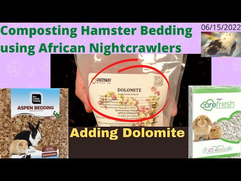 Compost Hamster Bedding with ANCs - Some Improvement 06/15/2022