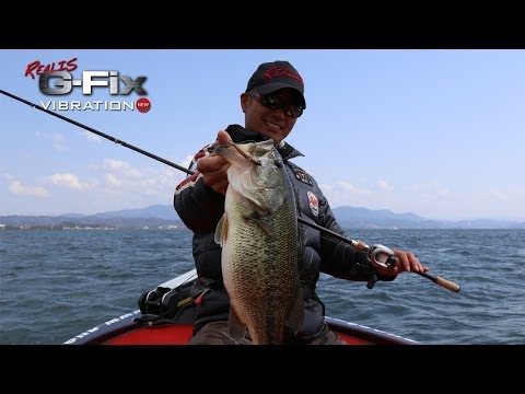 Вибы DUO Realis Vibration 62/68 G-Fix