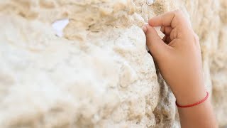 ערבית בשידור חי מהכותל המערבי ח' ניסן