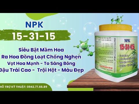 Chủ đề 4: VAI TRÒ CỦA NPK 15.31.15 CHO SẦU RIÊNG GIAI ĐOẠN 15-20 NGÀY