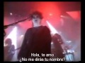 The Cure   Hello I Love You Live live subtitulada