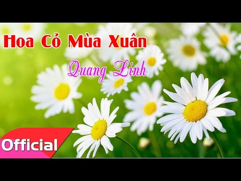 Hoa cỏ mùa xuân Sheet - Quang Linh