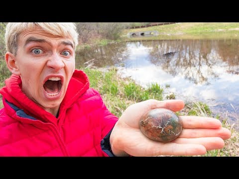 MONSTER IN POND!! (EGGS FOUND) Video