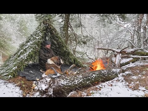 Wintercamping im Schneesturm mit meinem Riesenhund | Gefangen im Sturm | Bushcraft Survival