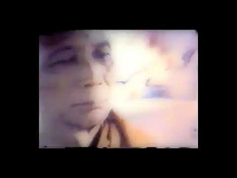 Webu Sayadaw - Anthology of a Noble One (1 of 7)