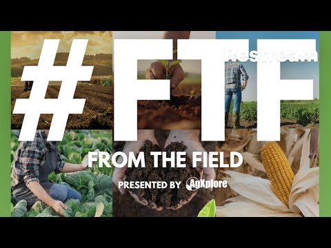 FROM THE FIELD, #FTF - Gunther Kreps on Building the Plant Factory