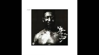 Muddy Waters    I Am The Blues !!!