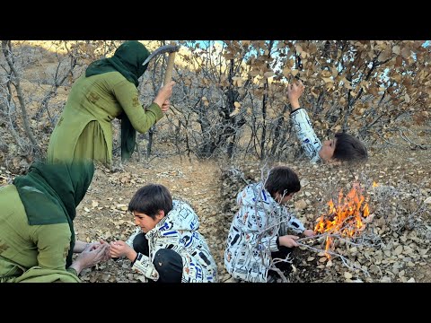 🌲🔥💔 Refuge in the forest; when home is not safe 🏠🌿⚠️