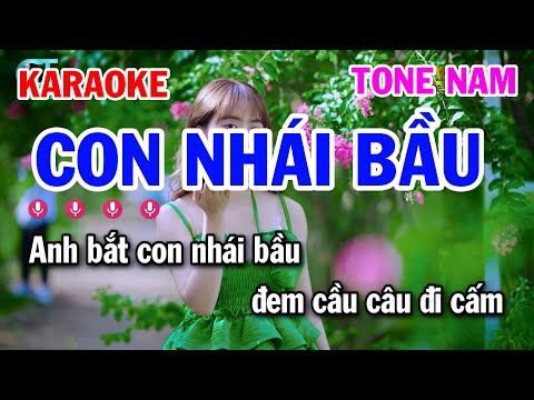 Karaoke Con Nhái Bầu Tone Nam Nhạc Sống || Tuấn Cò Karaoke