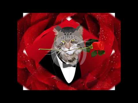 Tango - Agata Siemaszko