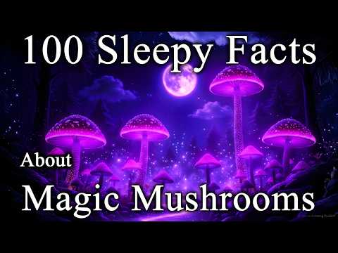 Unveiling the Hidden Power of Magic Mushrooms | Science for Sleep