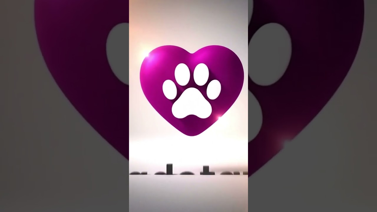 Cachorro raça SRD-ViraLata idade 6 ou mais anos nome Malhada