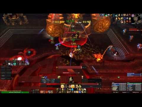10 HC Dark Animus - Protection Paladin POV