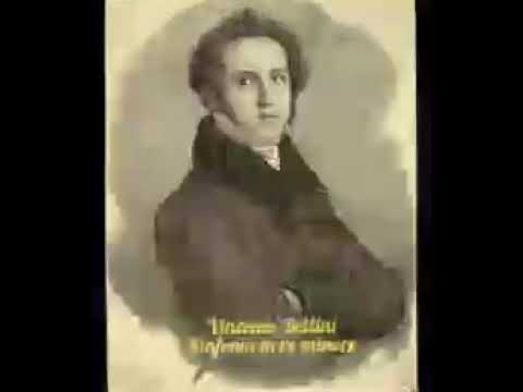 Vincenzo Bellini - Symphony in D minor