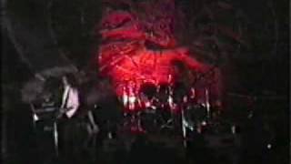 DISHARMONIC ORCHESTRA - Perishing passion+Inexorable logic