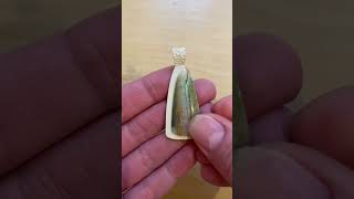 Silver clay setting for opalized petrified wood