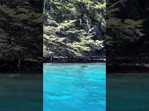 Conoces? Villa Traful es un verdadero sueño 🇦🇷♥️ #argentina #villatraful #paisajes #naturaleza