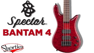 Video thumbnail for Spector Bantam 4 Short Scale Bass | SHORTIES by The Bass Channel