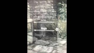 Skyrim Weight Slider for Women