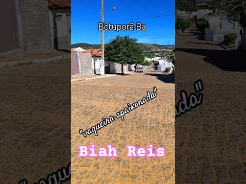 Botuporã Ba, minha cidade linda e pacata #cachorro #nordeste