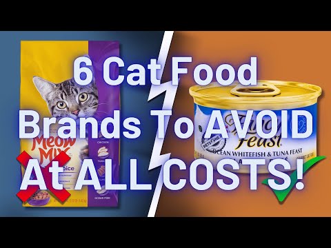 6 Cat Food Brands To AVOID At All Costs! (And Few That Are Safe!)