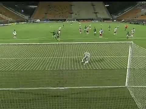 GOOOOLLLL DO PALMEIRAS !!! Leandro. PALMEIRAS 2X0 BOTAFOGO-SP - Paulistão 20/03/2013