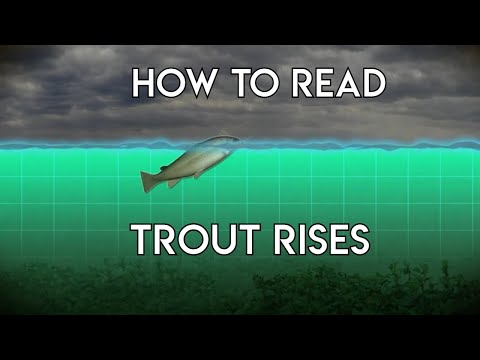 How To Read Trout Rises