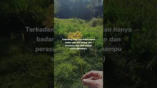 Download lagu capek badan pikiran dan perasaan @Airinabita #reels #trending #video #shortvideo #shsrts mp3