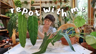 REPOT Q&A PART 1 | life saving plant supplies, maternity leave, and more!