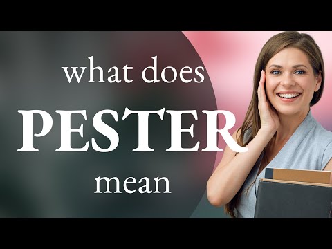 Pester | definition of PESTER