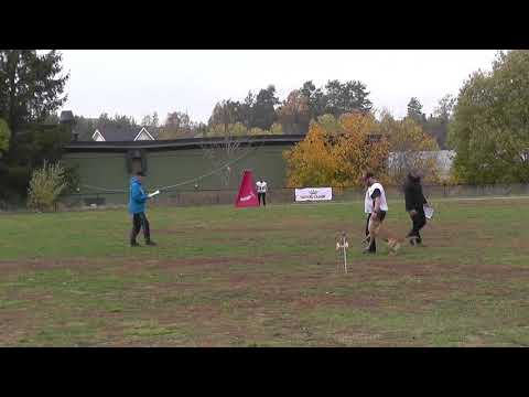 Erik Engeland   Deuce av Staalhjerte   B