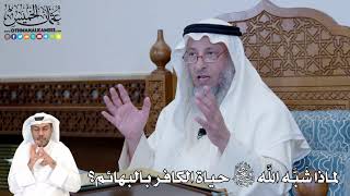301 - لماذا شَبَّه الله تعالى حياة الكافر بالبهائم؟ - عثمان الخميس