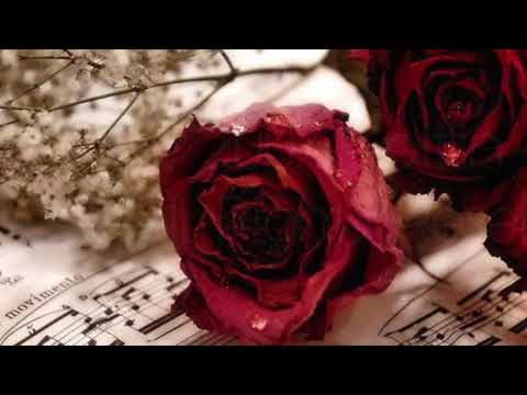 Serenata campera  - Rodolfo Biagi -  Hugo Duval - (1950)