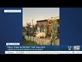 Fall Fun Across The Valley Pumpkin Patches