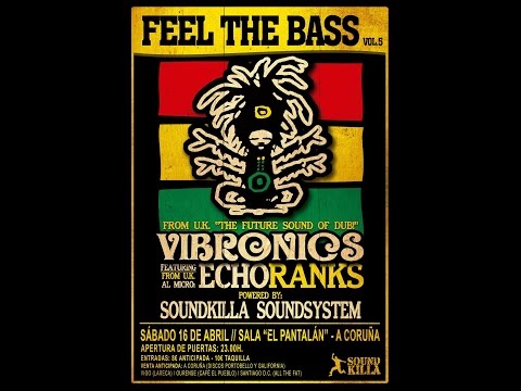 Vibronics ft. Echo Ranks meet Soundkilla Sound System @Feel the Bass Vol.5