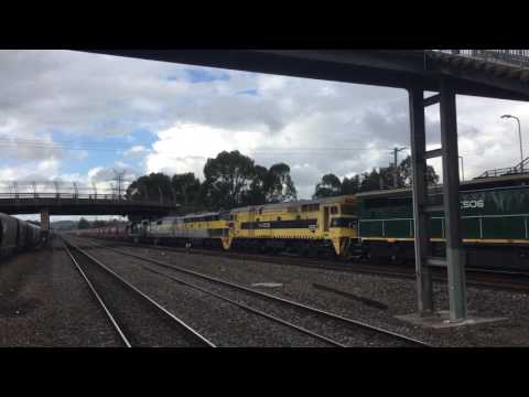 C506-44206-S317-GM27-C509 SSR grain Sandgate 19-4-2017